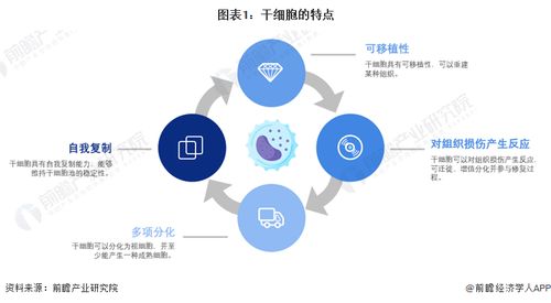 干細胞技術前沿預測 裴鋼院士強調生物醫藥產品開發需融合網絡技術的三大核心要素